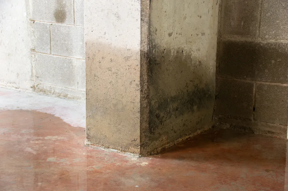Concrete basement walls and floor with visible water damage, including dark stains and damp patches, indicating possible leakage or flooding.