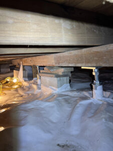 Donna Crawlspace 7