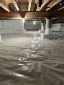 Crawlspace Protection