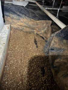 Crawlspace 2