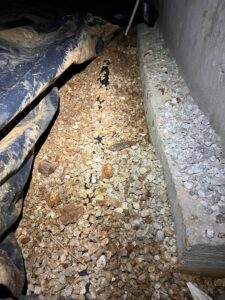 Crawlspace 1