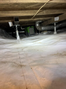 Donna Crawlspace 2