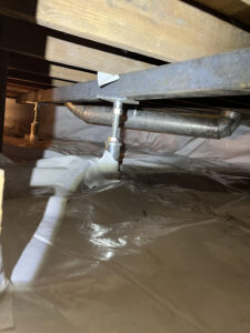 Donna Crawlspace 4