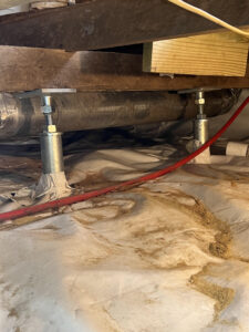 Donna Crawlspace 5