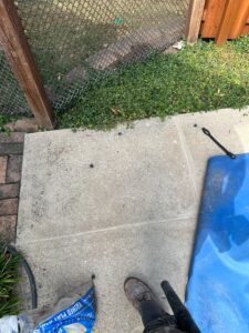 Img 9940