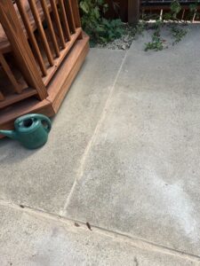 Img 9943