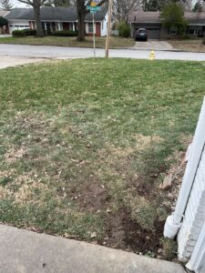Residential Concrete Repair Project