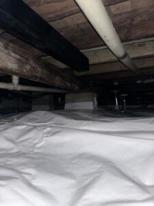 Img 7588