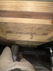 Img 7597