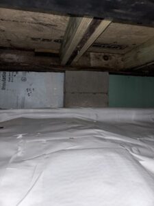 Img 7600