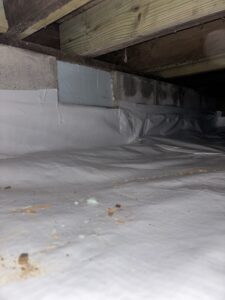 Img 7585