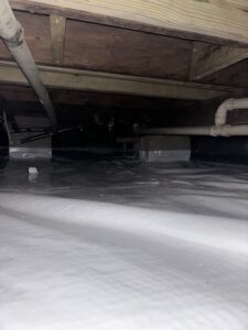 Img 7584