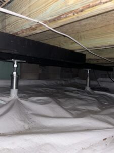 Img 7593