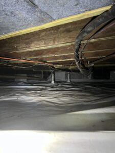 Img 0905