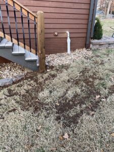 Expert Crawl Space Encapsulation Service