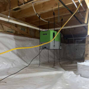 Crawlspace Encapsulation Gallery