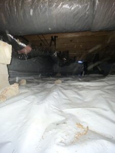 Local Crawlspace Encapsulation Services