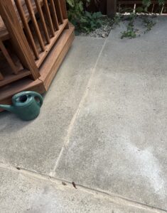 A green plastic watering can sits on a concrete patio near wooden stairs, with some plants and gravel visible in the background.