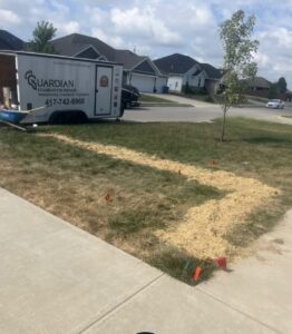 A patch of straw and small orange flags mark a path on a residential lawn near a sidewalk, with a Guardian Foundation Repair trailer parked nearby.