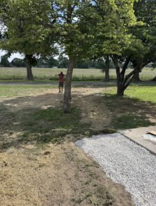 A person stands under a tree in a grassy yard, with a patch of gravel and a concrete edge visible in the foreground.