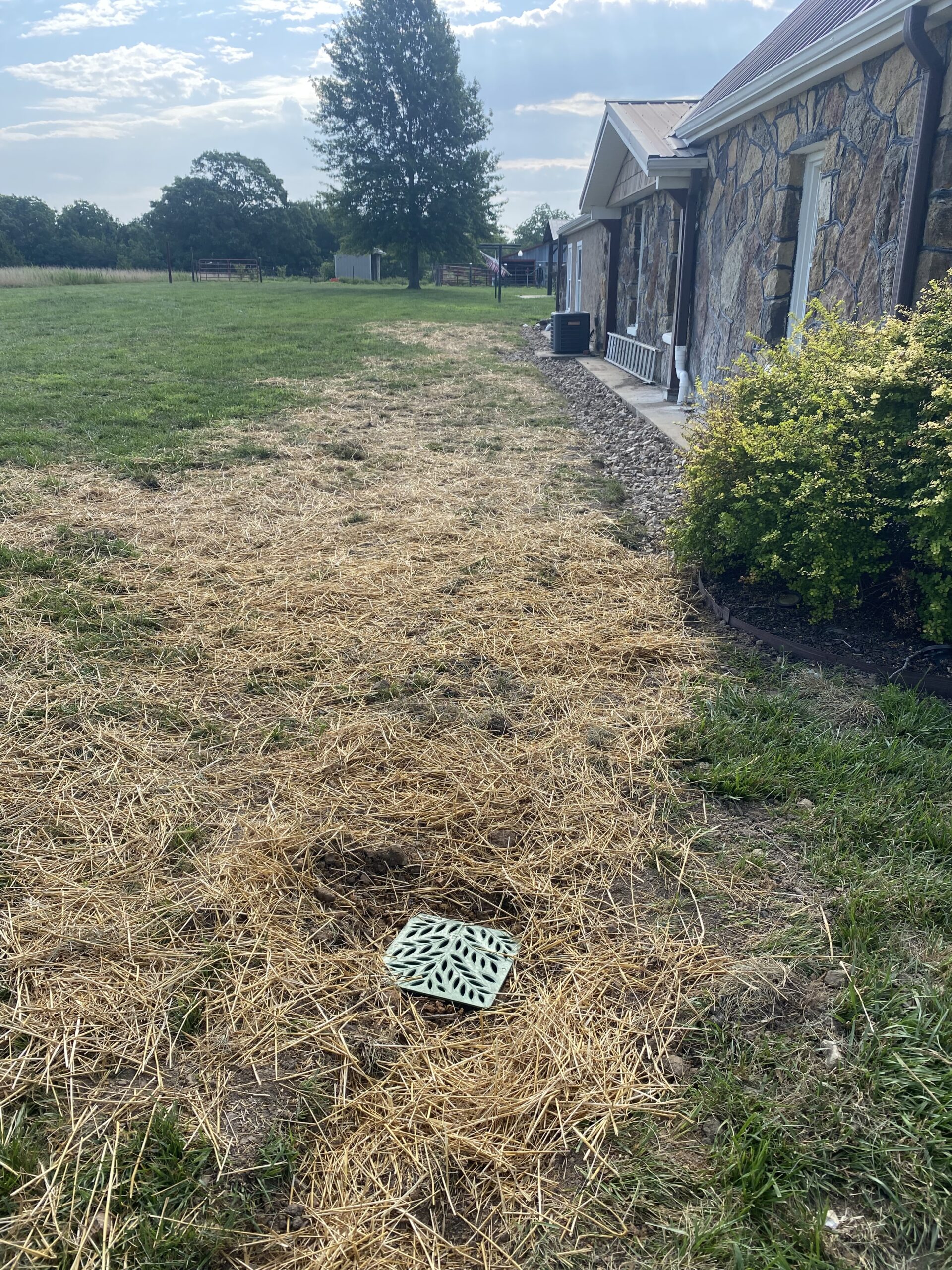 A metal drain grate is set in the ground surrounded by straw next to a stone house, with grass and bushes nearby under a partly cloudy sky.