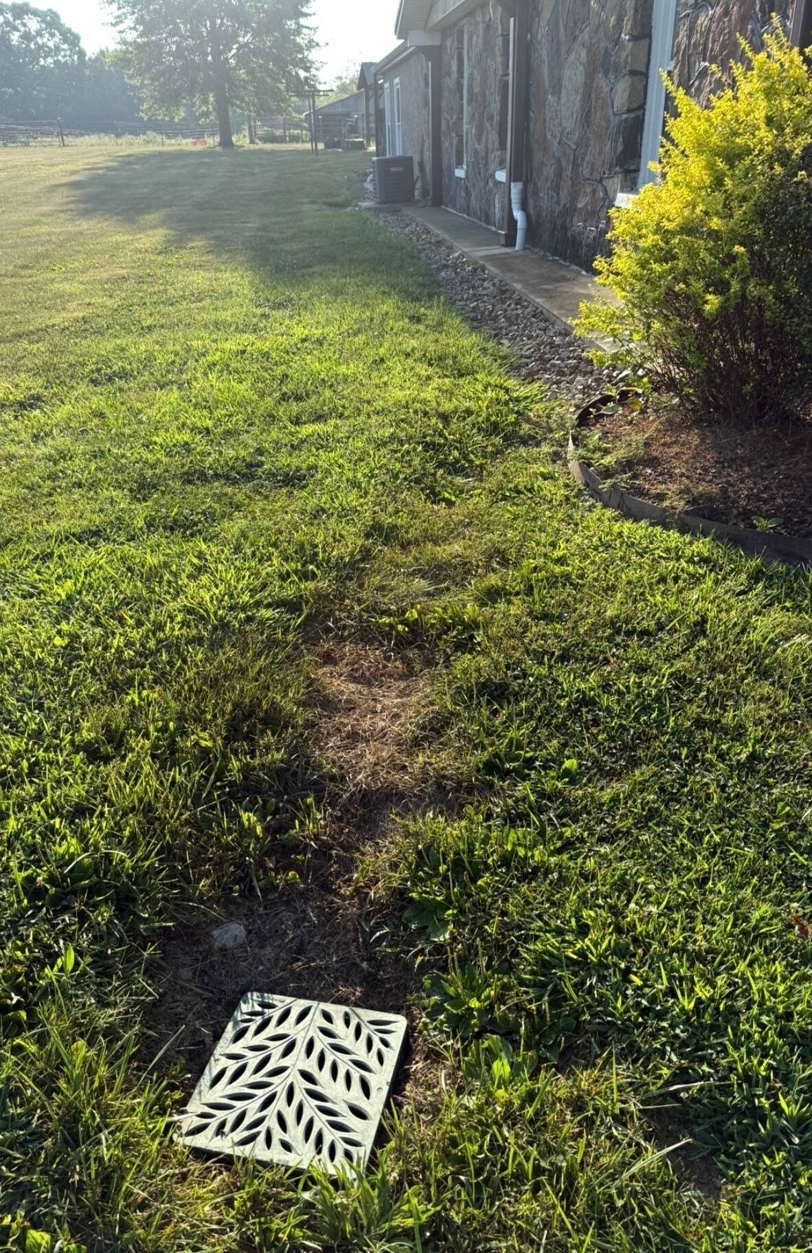 A square drain cover with a leaf pattern sits in a patch of grass near a house with stone siding, bordered by a landscaped area and bushes.